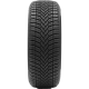 Delinte AW6 AllWeather